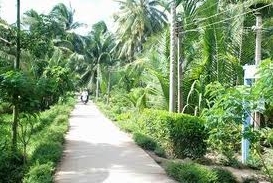 Changer la physionomie de la campagne vietnamienne